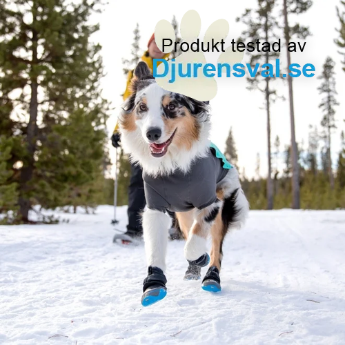 Ruffwear Polar Trex Hundskor 2-pack Blå